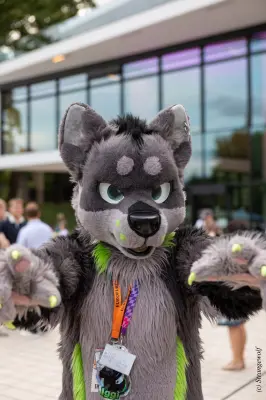 1R3A9142-lr19t.jpg of EF/EF29/