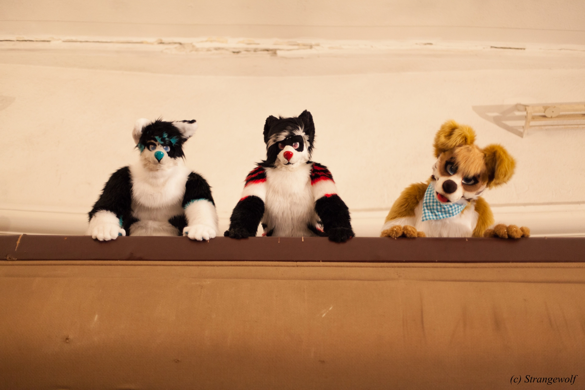 full image IMG_5877-lr19t.jpg