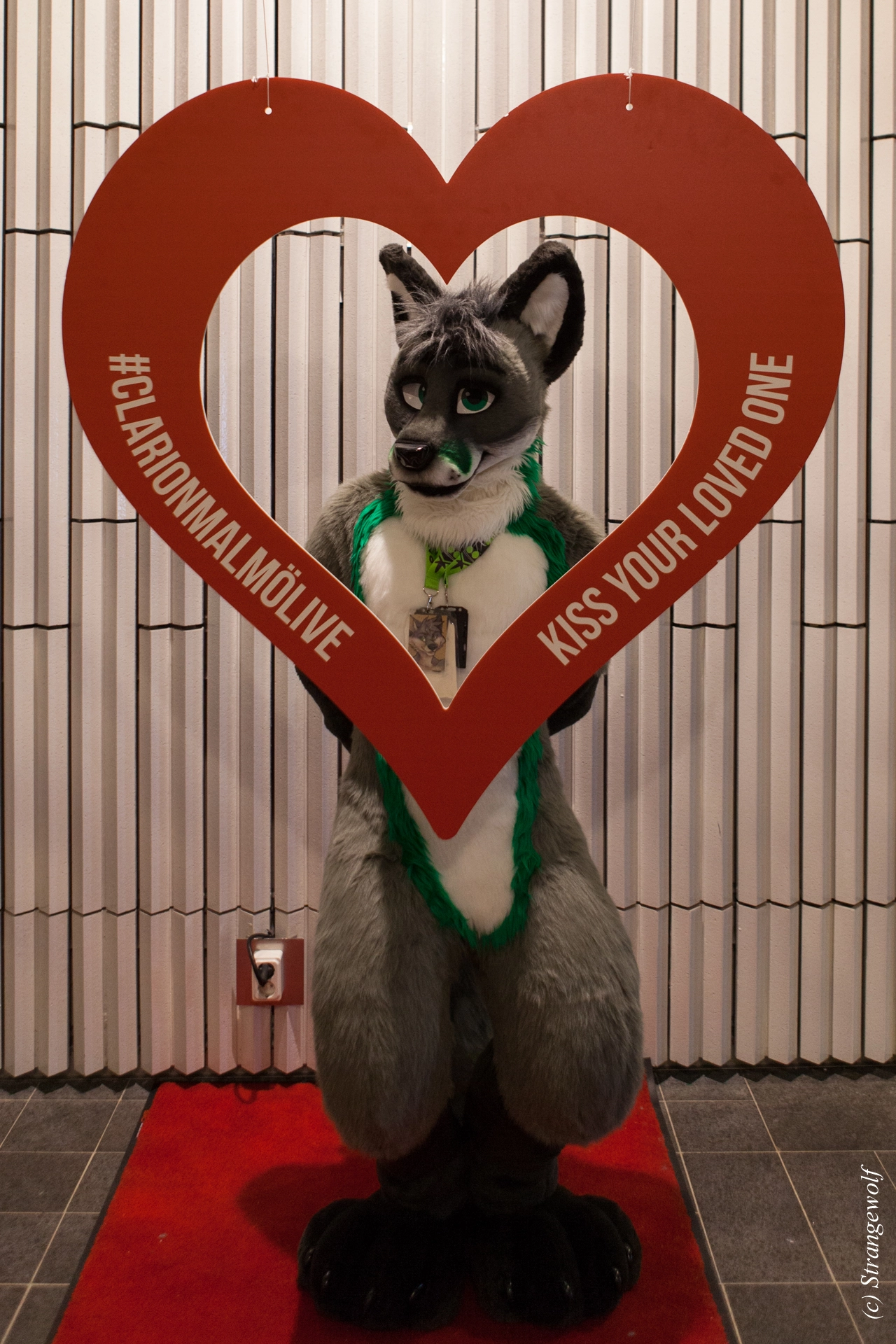 full image IMG_8363-lr19t.jpg