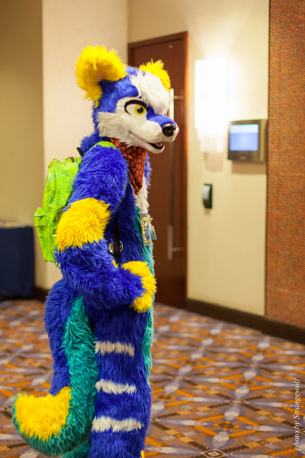full image IMG_0878-lr16t.jpg