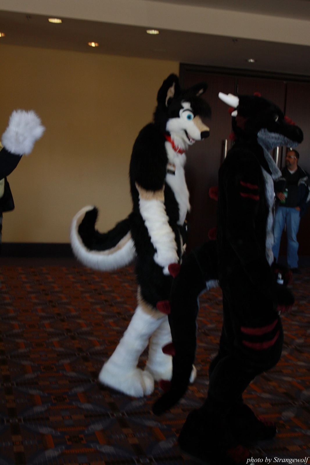 full image IMG_0562-lr.jpg