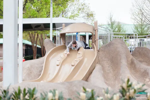 IMG_2153-lr19t.jpg of FWA/FWA2018/