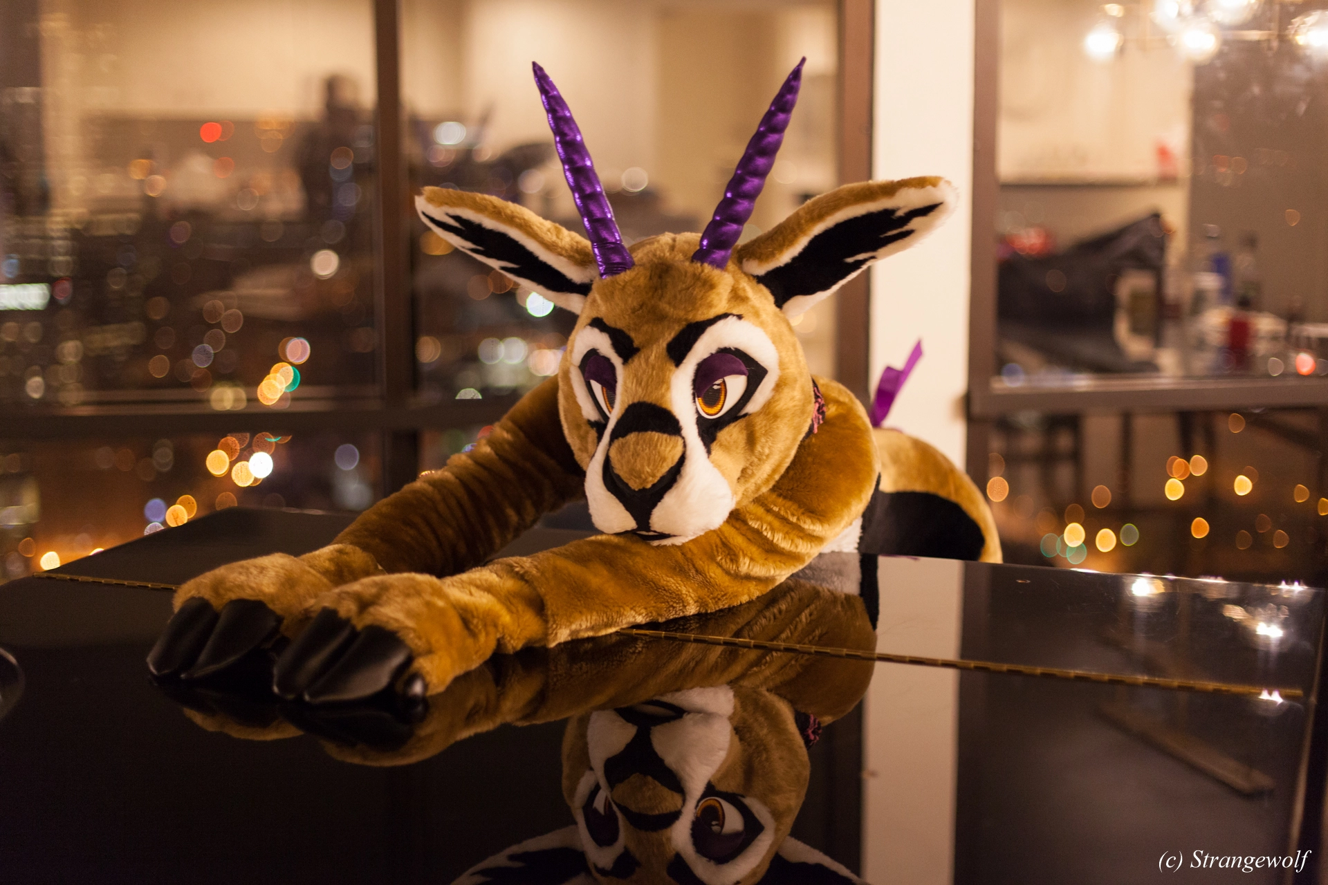 full image IMG_2301-lr19t.jpg