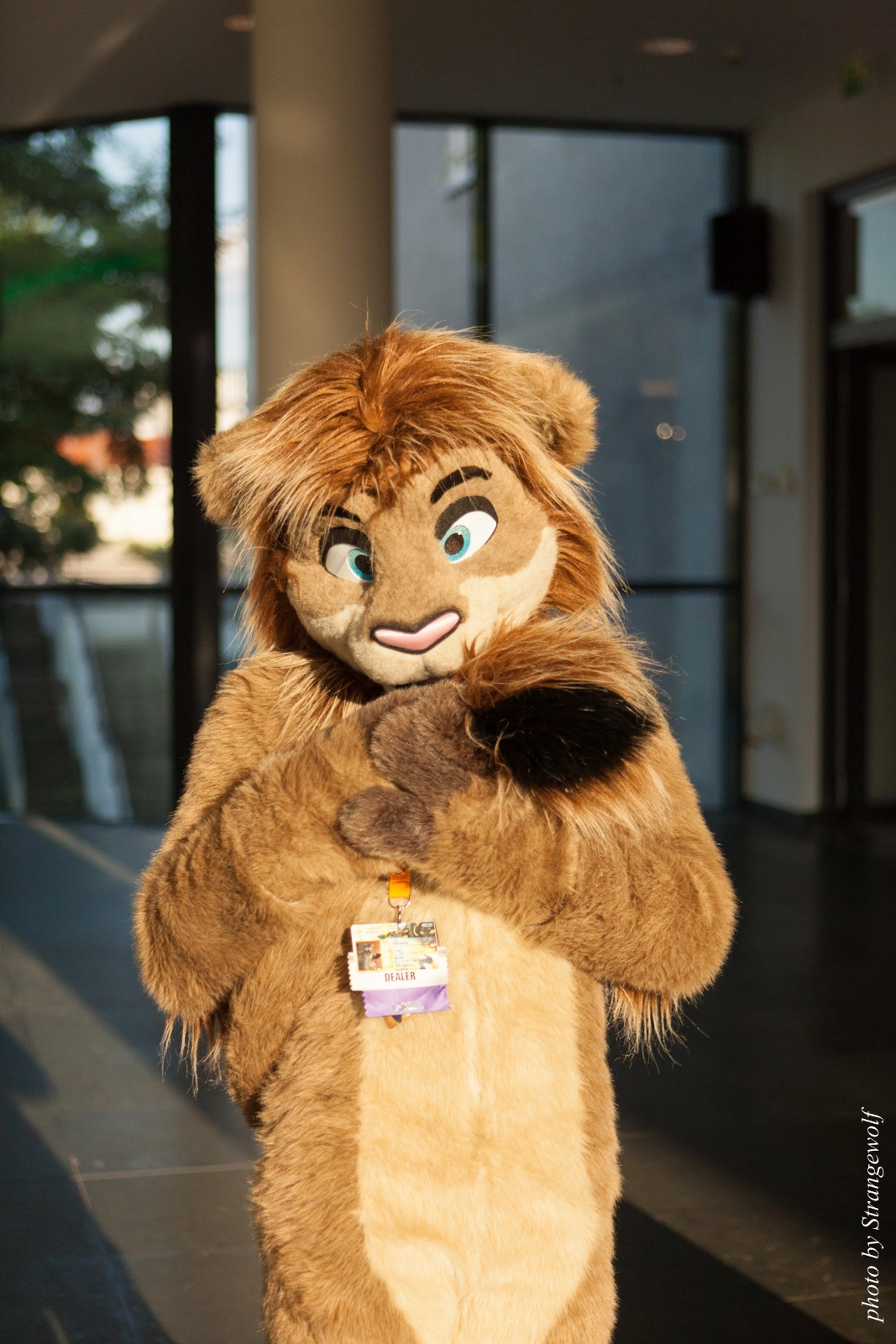 full image IMG_7290-lr16t.jpg