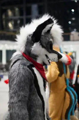 IMG_6329-lr19t.jpg of EF/EF23/