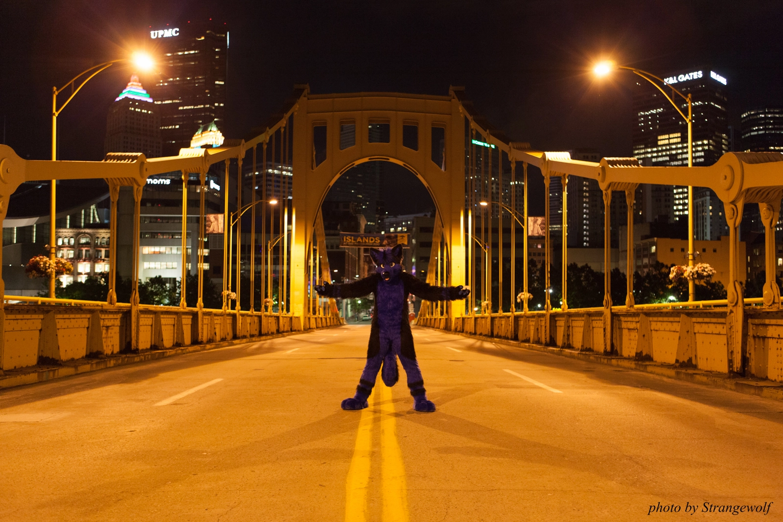full image IMG_8502-lr16t.jpg