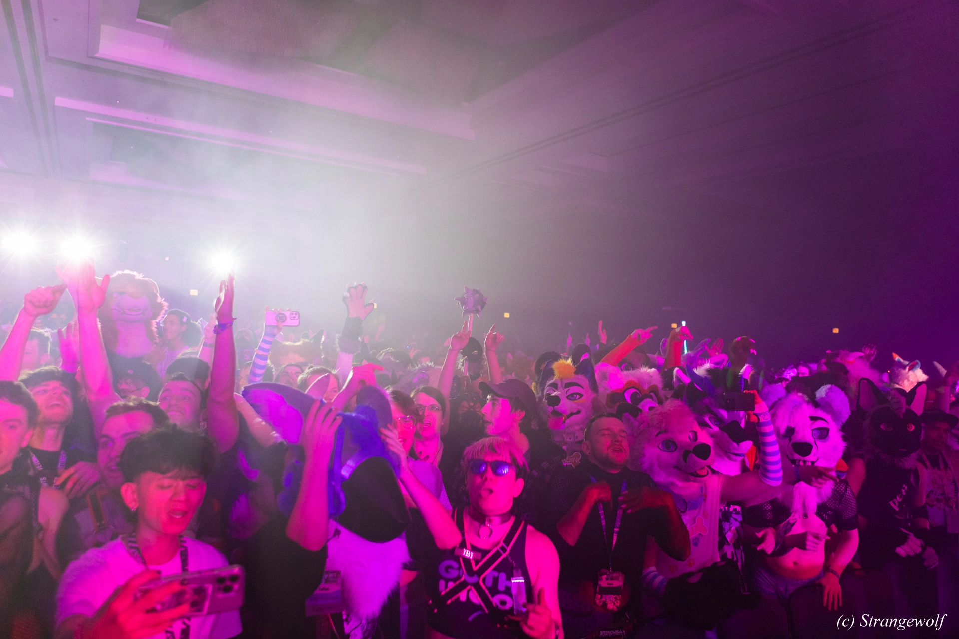 full image 1R3A7219-lr19t.jpg