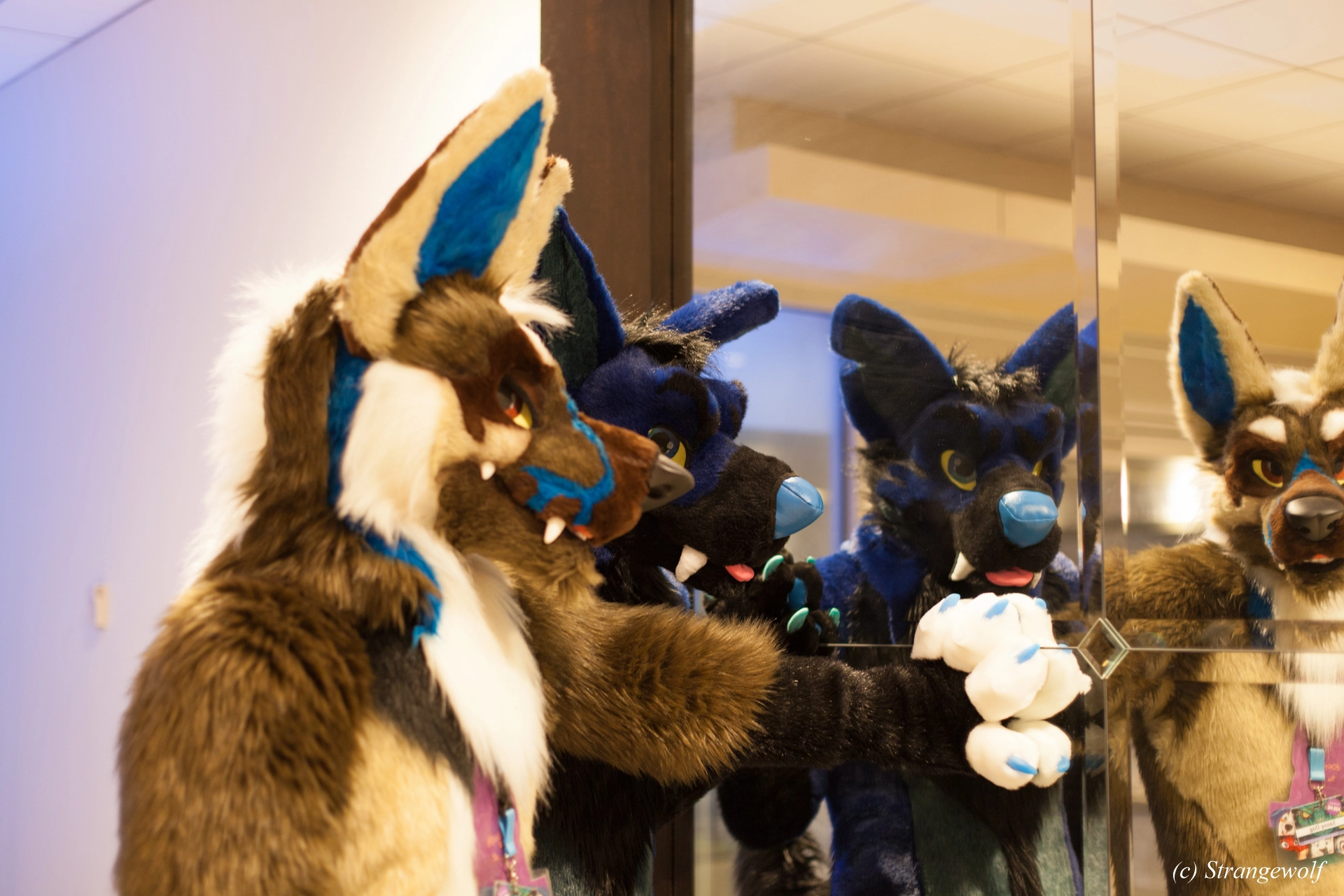 full image IMG_1422-lr19t.jpg