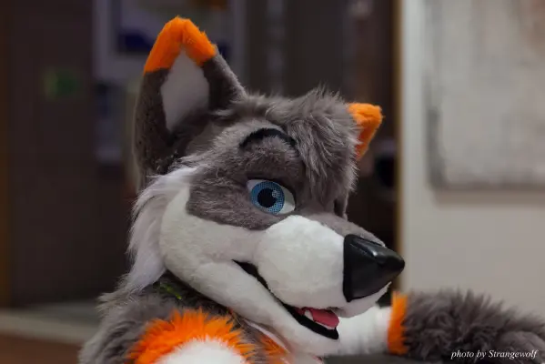 IMG_1609-lr16t.jpg of NFC/NFC2017/