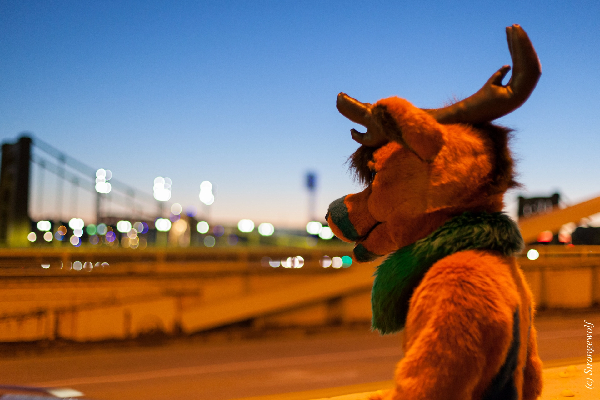 full image IMG_4566-lr19t.jpg