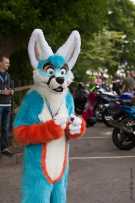 IMG_7182-lr16t.jpg of CFZ/CFZ2016/