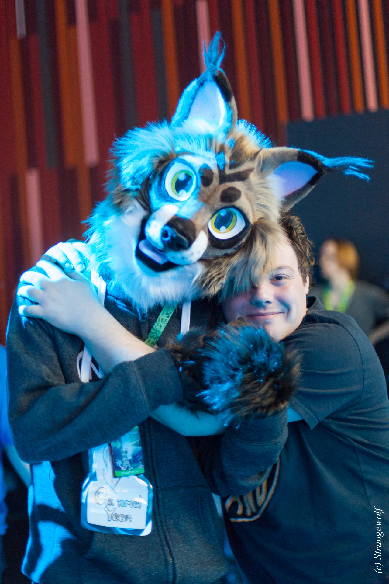 full image IMG_9309-lr19t.jpg