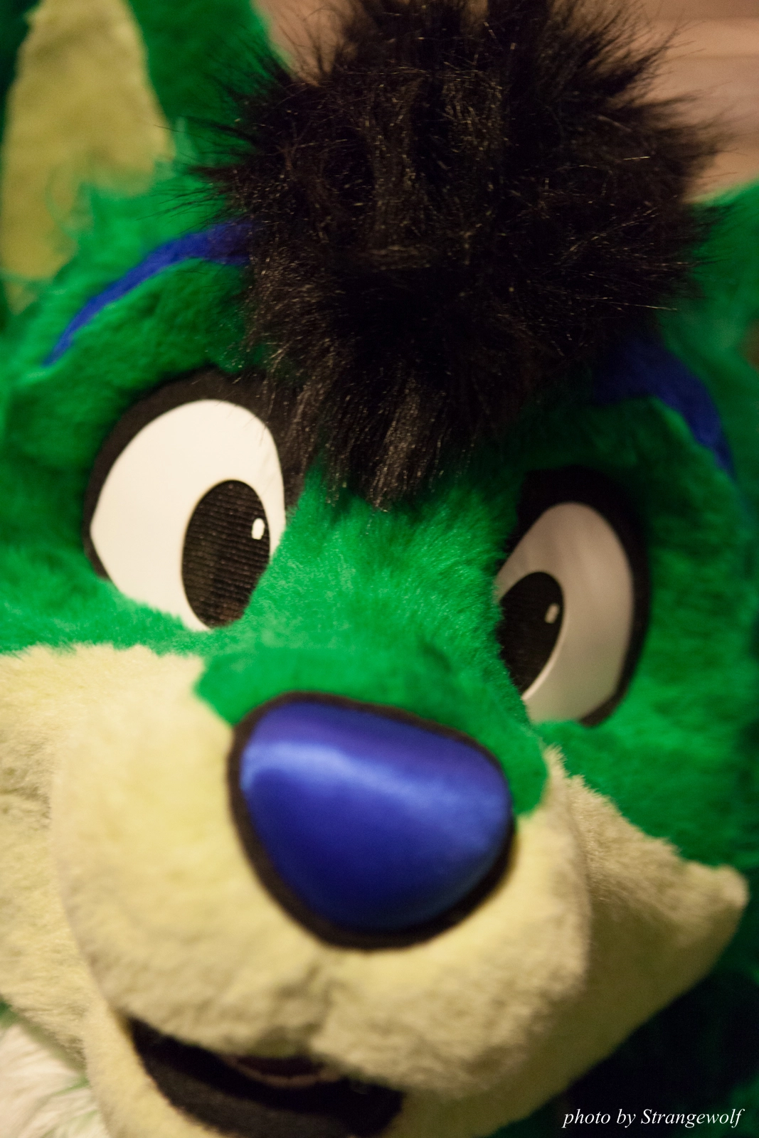 full image IMG_4420-lr16t.jpg