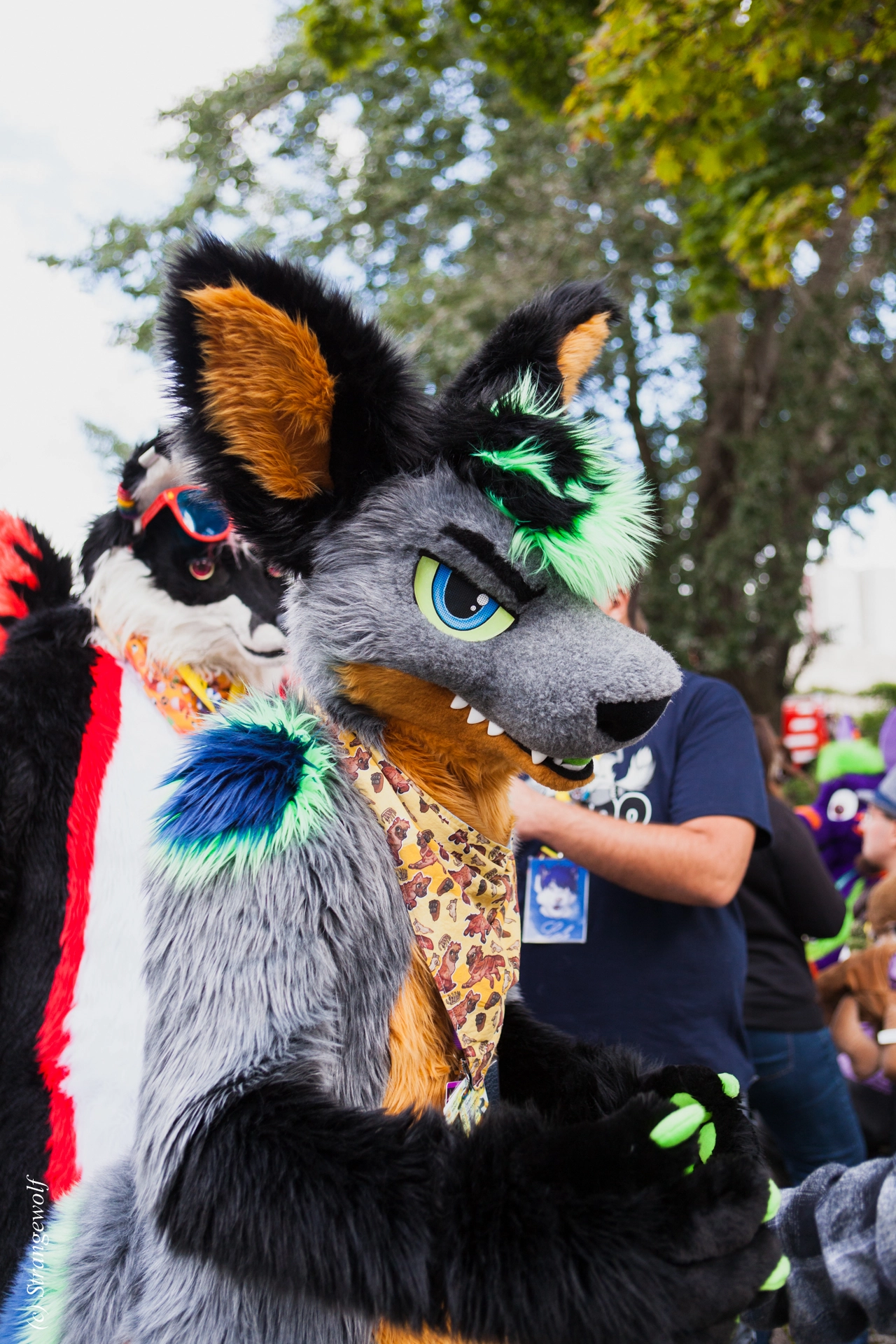 full image IMG_6959-lr19t.jpg