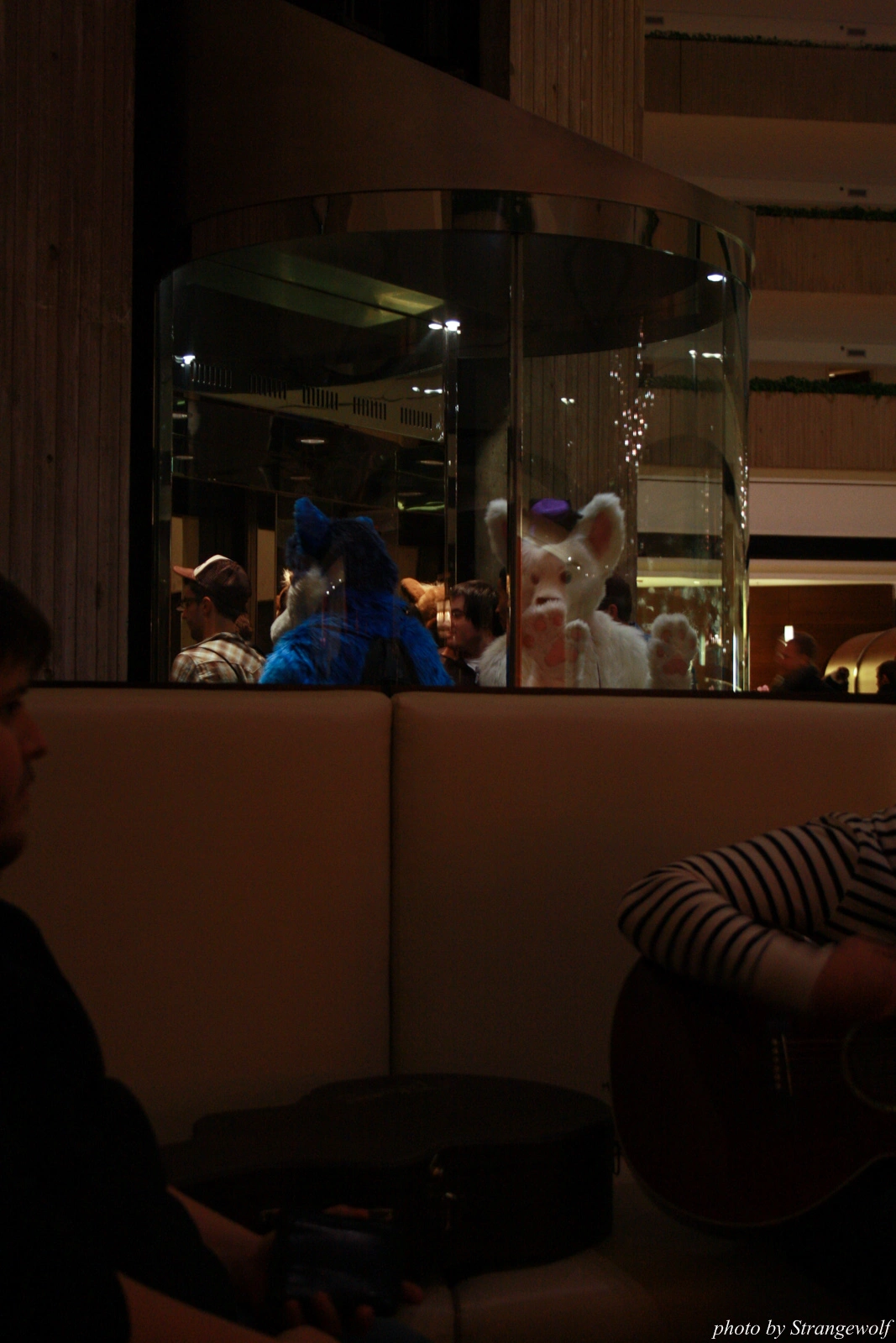 full image IMG_0371-lr.jpg