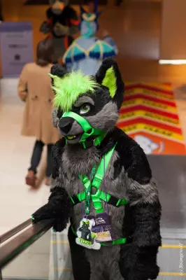IMG_7670-lr.jpg of MFF/MFF2018/