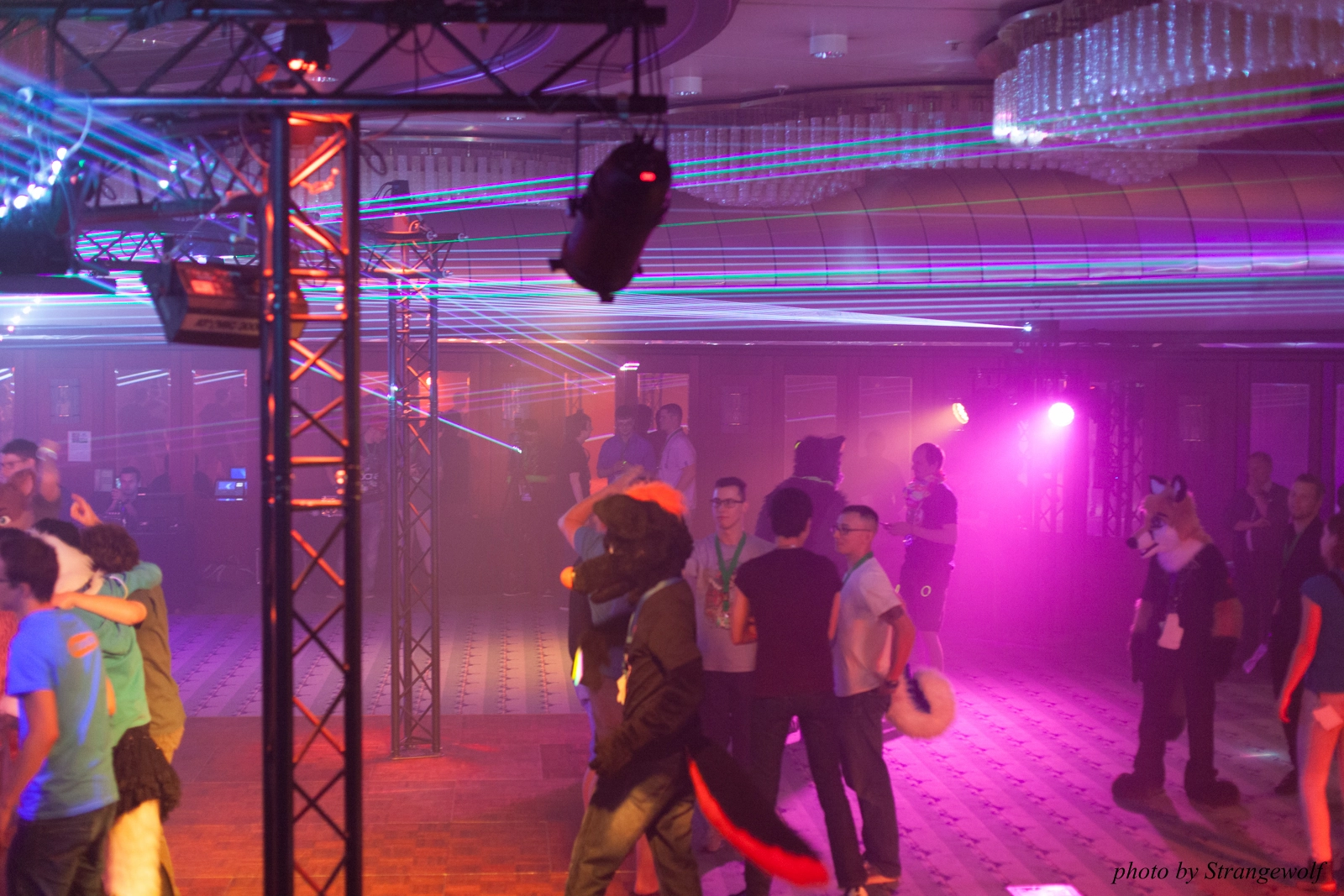 full image IMG_8644-lr16t.jpg