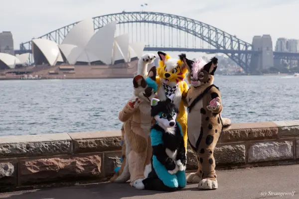 IMG_4375-lr19t.jpg of HCFC/HCFC2019/