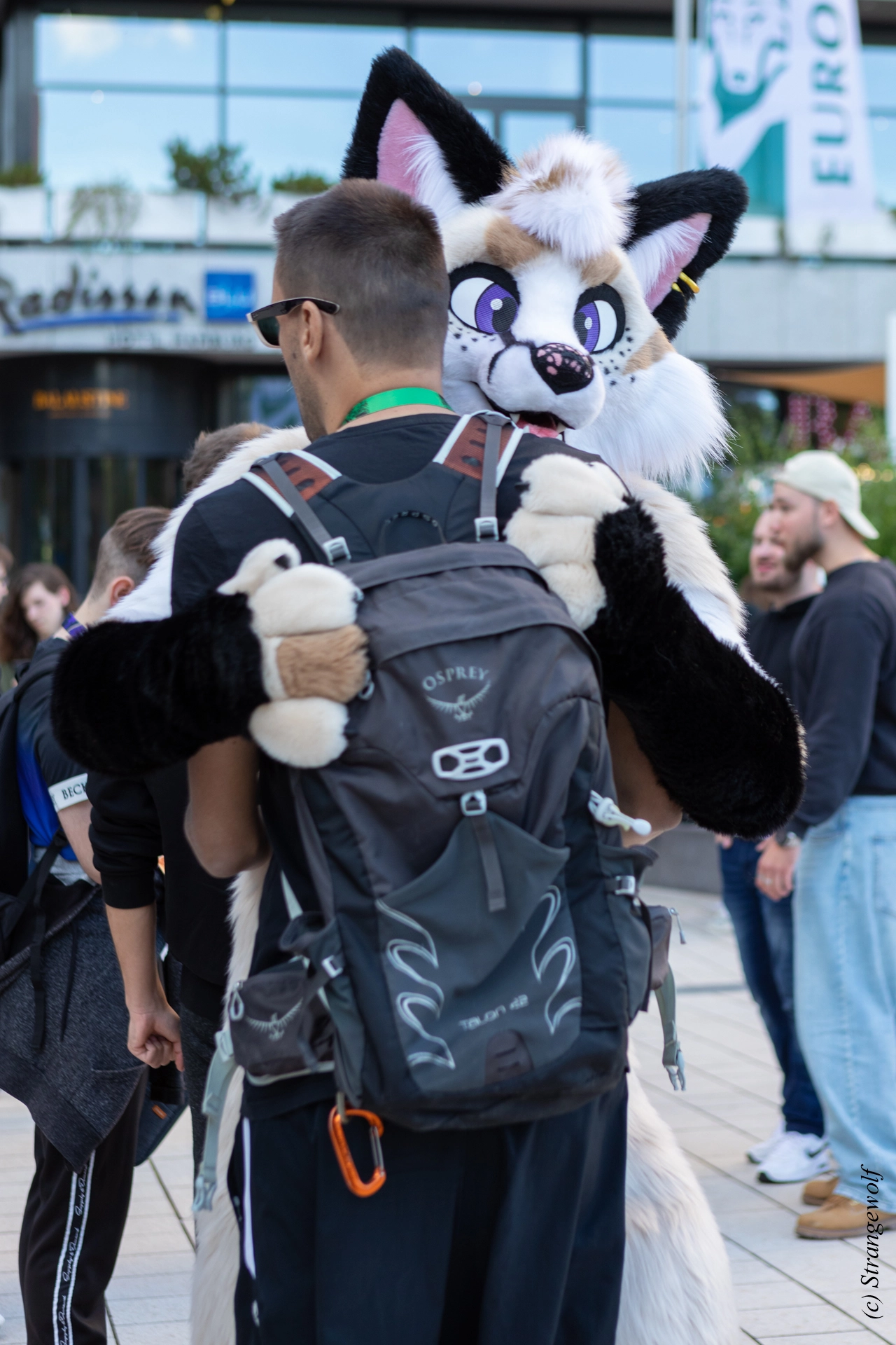 full image 1R3A9333-lr19t.jpg