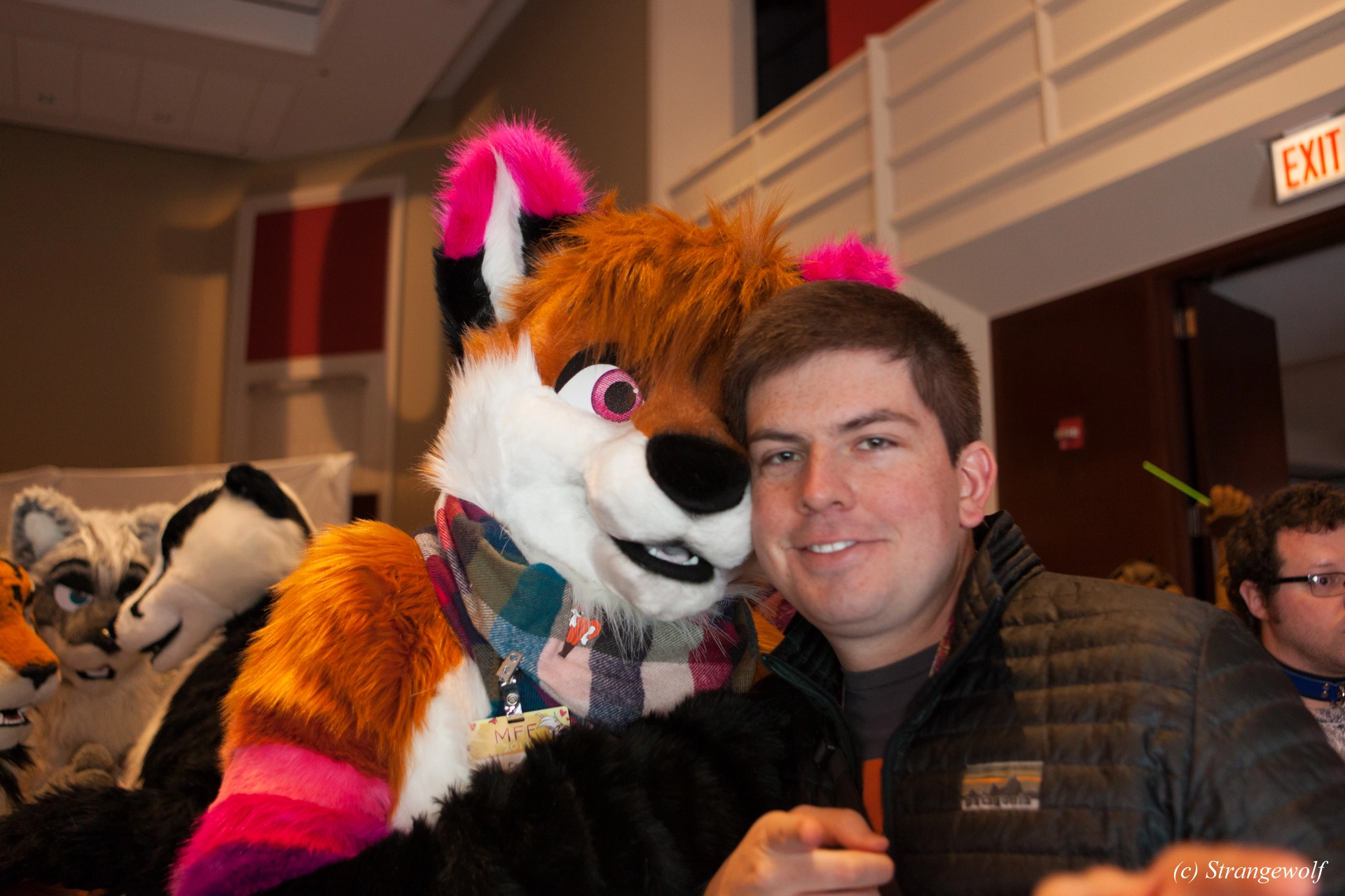 full image IMG_7433-lr19t.jpg