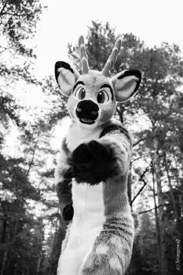 IMG_8628-lr19t.jpg of NFC/NFC2019/Shoot-Strife_Carlito/