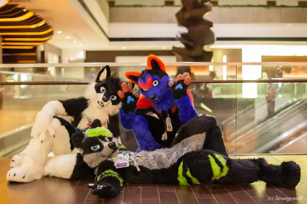 IMG_6553-lr19t.jpg of MFF/MFF2015/