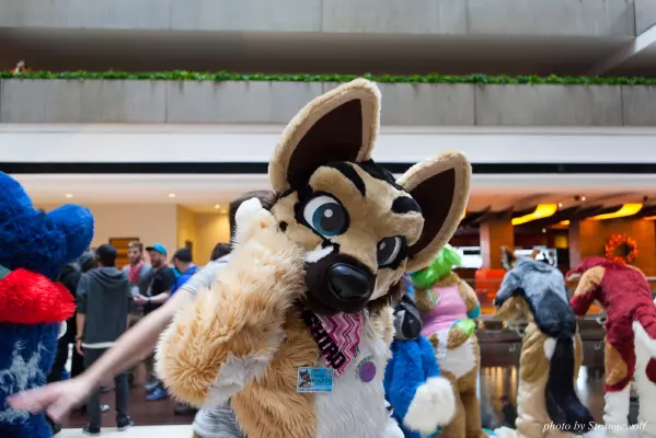 IMG_0674-lr16t.jpg of MFF/MFF2016/