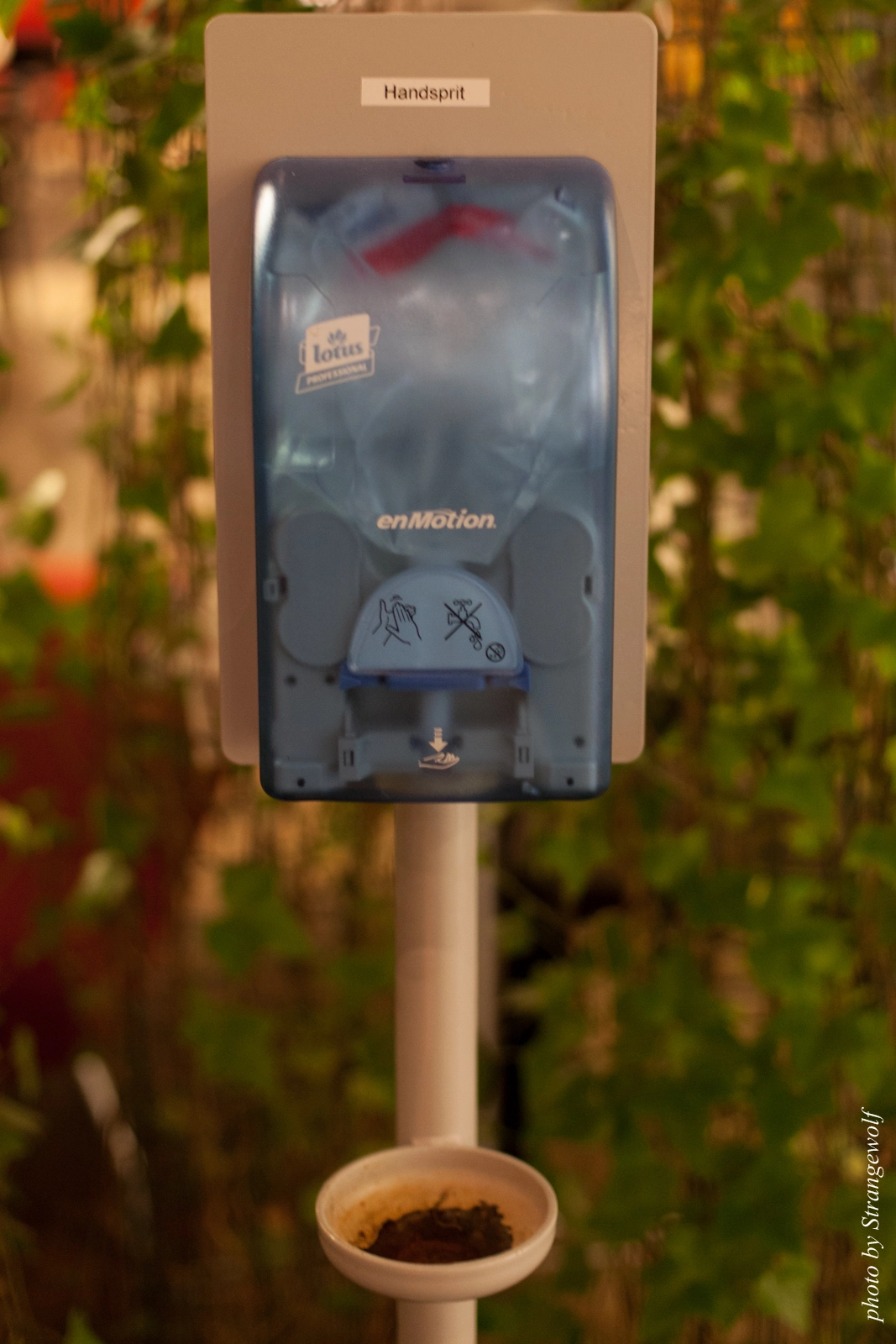 full image IMG_2518-lr16t.jpg