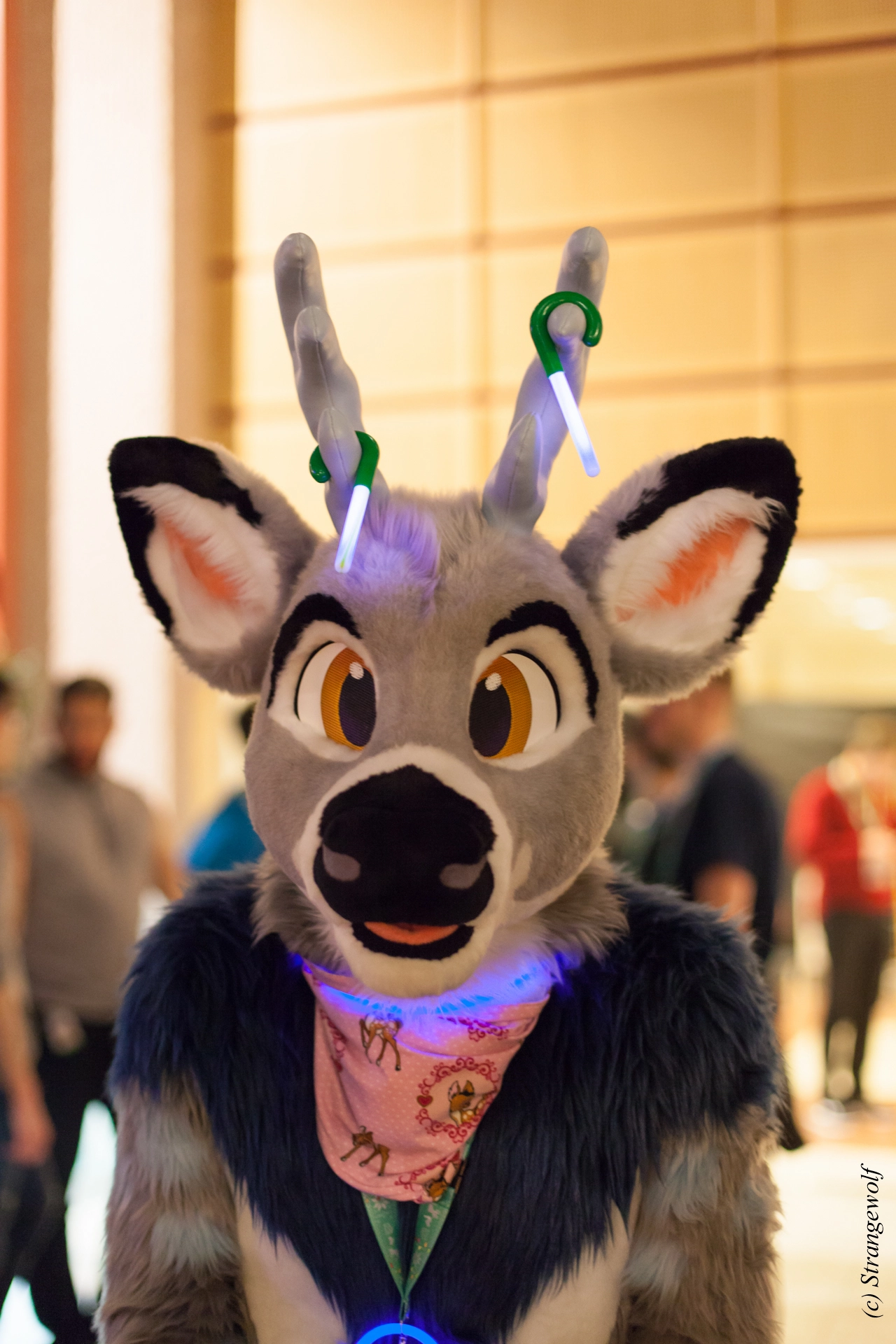 full image IMG_9829-lr19t.jpg