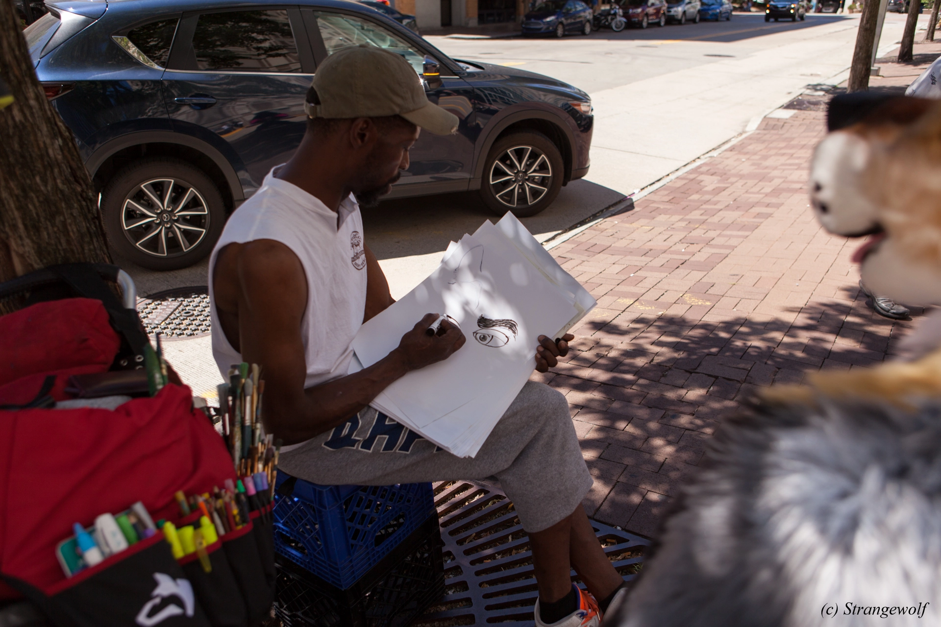 full image IMG_4066-lr19t.jpg