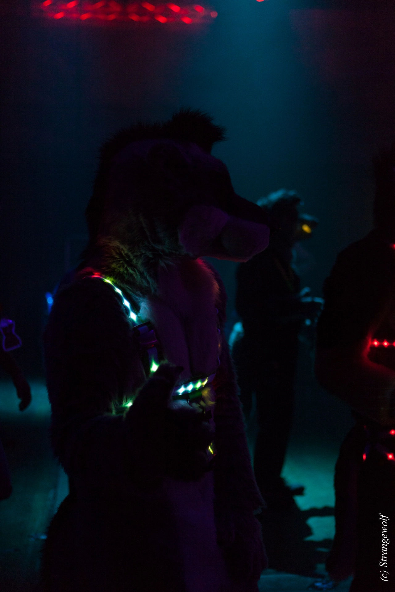 full image IMG_5185-lr19t.jpg