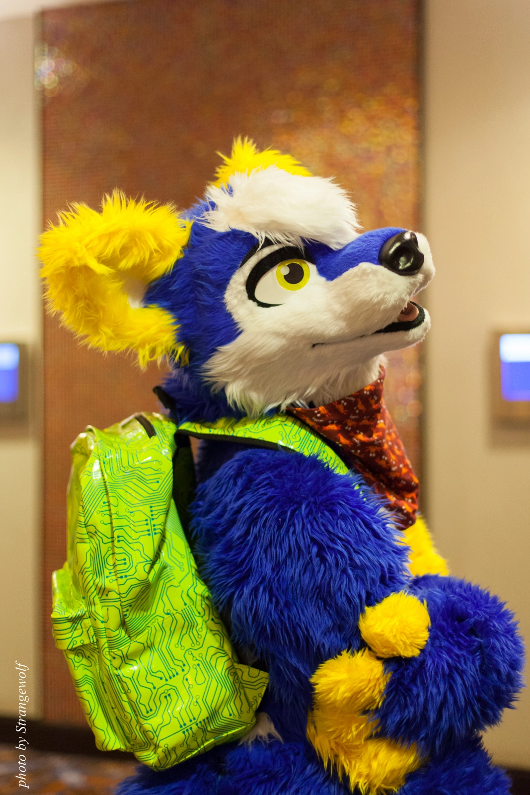 full image IMG_0870-lr16t.jpg