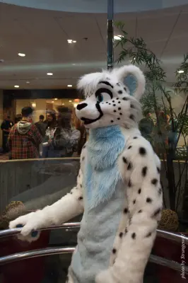 IMG_4157-lr16t.jpg of MFF/MFF2015/