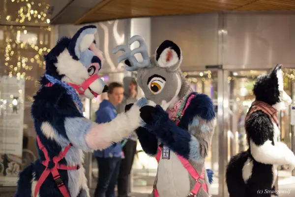 IMG_9396-lr19t.jpg of NFC/NFC2019/