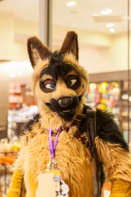 IMG_1318-lr16t.jpg of FC/FC2017/