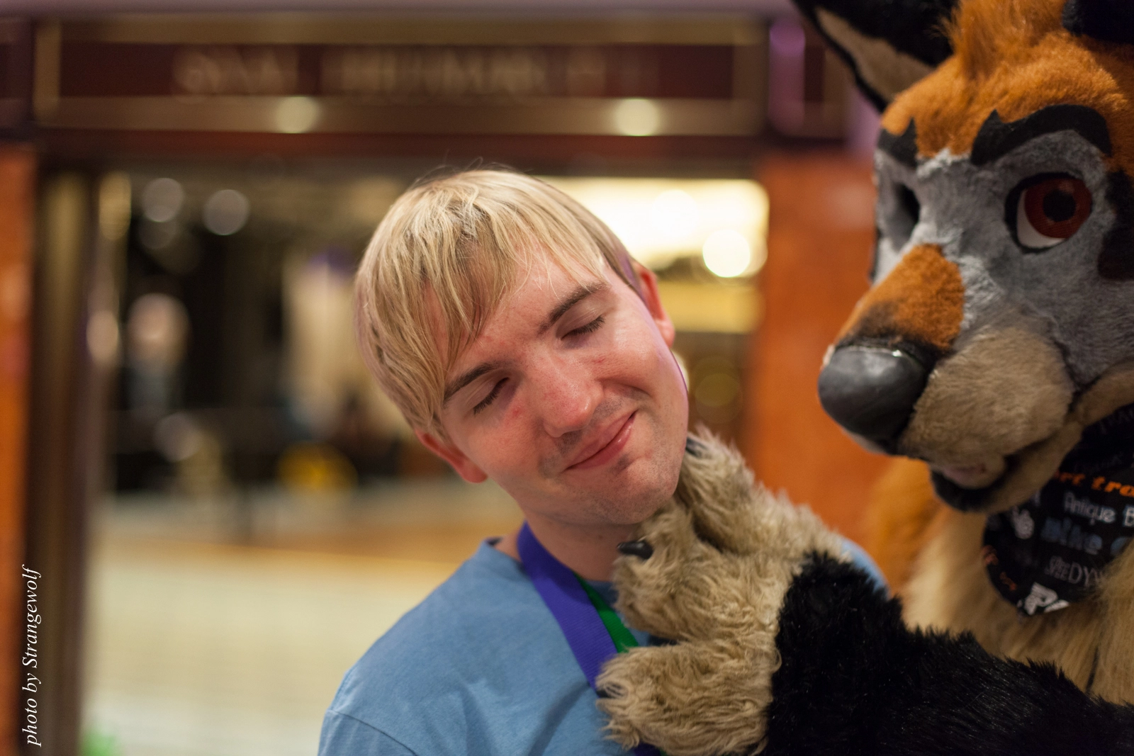 full image IMG_8865-lr16t.jpg