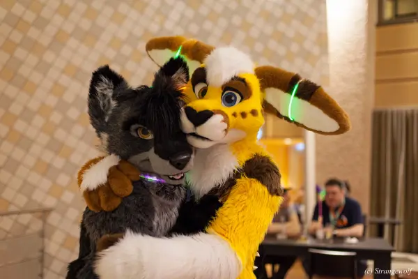 IMG_9859-lr19t.jpg of NFC/NFC2019/