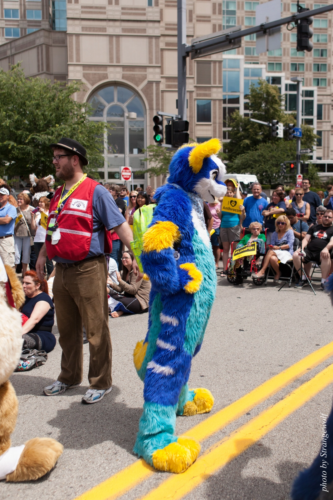 full image IMG_8054-lr16t.jpg