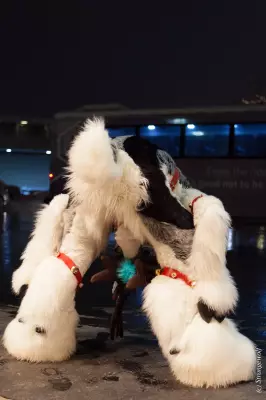 IMG_6932-lr19t.jpg of MFF/MFF2018/