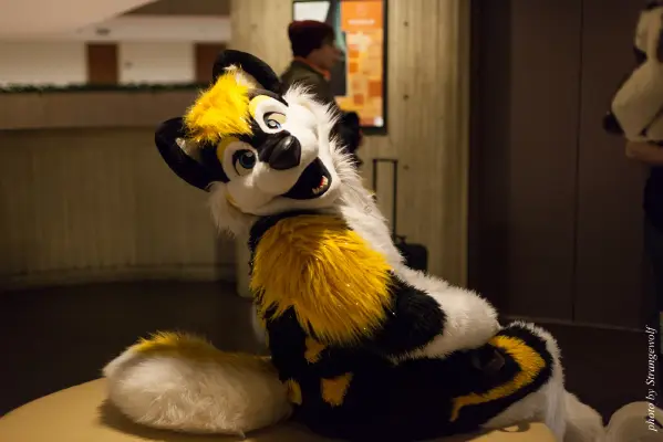 IMG_5363-lr16t.jpg of MFF/MFF2015/