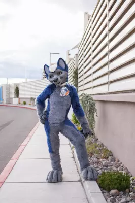IMG_2643-lr19t.jpg of BLFC/2018/