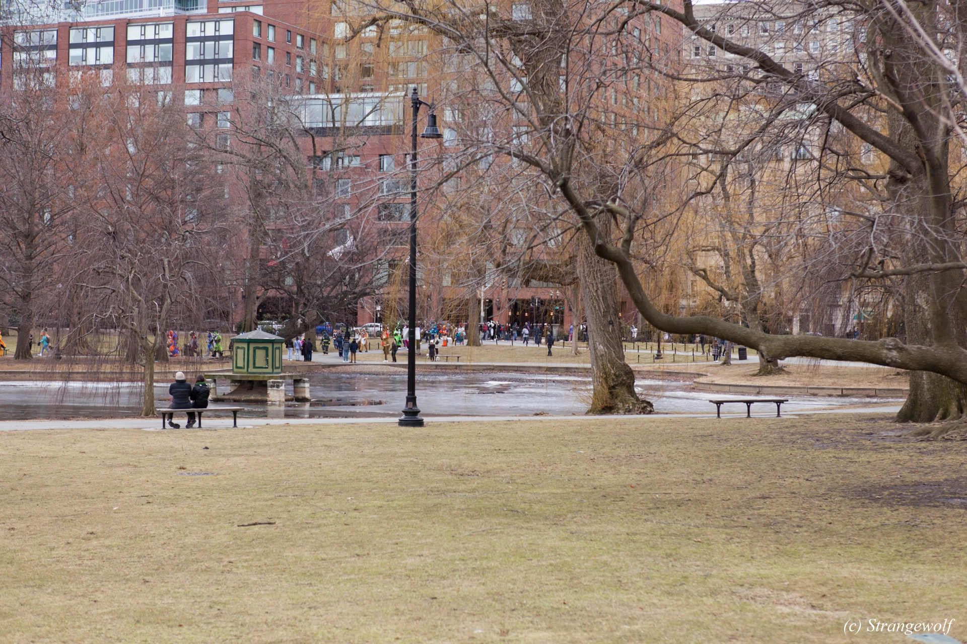 full image IMG_3093-lr19t.jpg