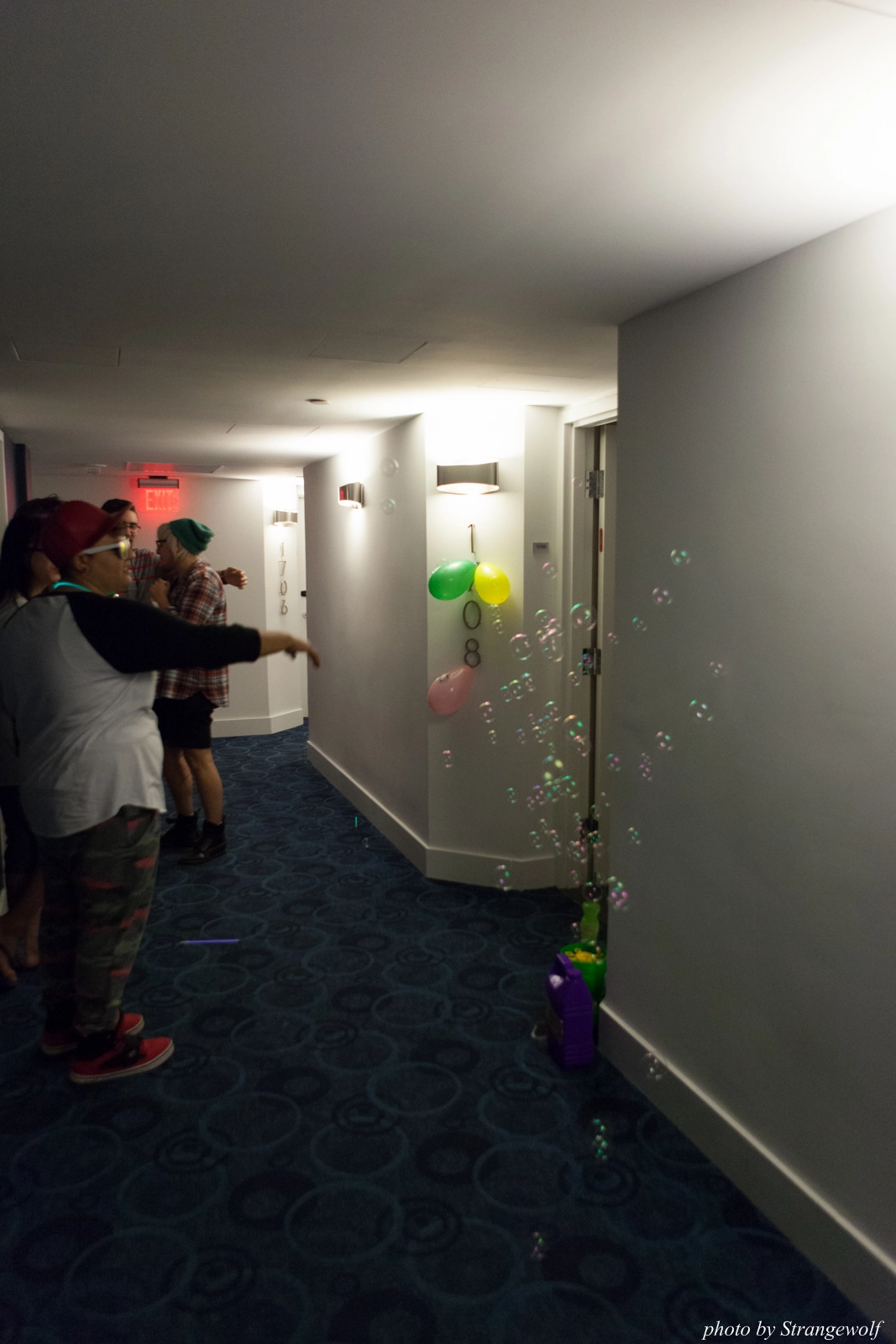 full image IMG_8758-lr16t.jpg