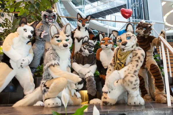 IMG_0412-lr19t.jpg of NFC/NFC2018/OFA-Shoot/