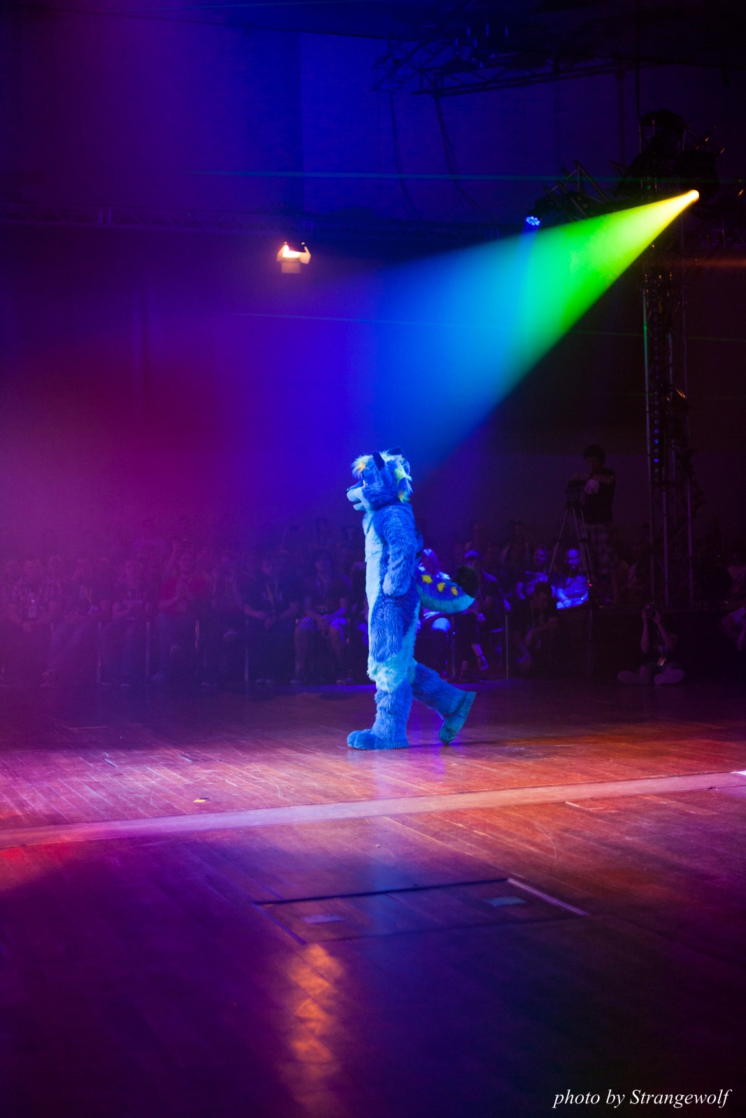 full image IMG_2809-lr16t-2.jpg