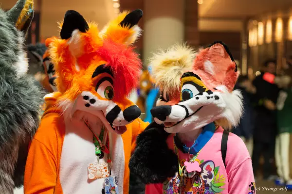 IMG_8091-lr.jpg of MFF/MFF2019/
