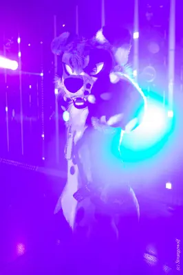 1R3A5360-lr19t.jpg of MFF/MFF2024/