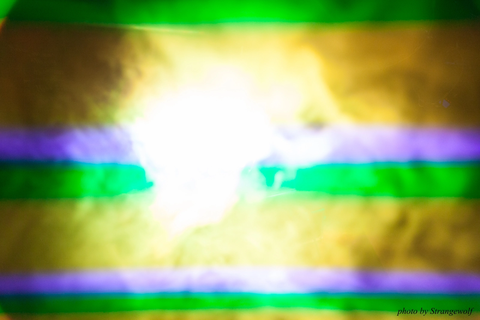 full image IMG_5526-lr16t.jpg