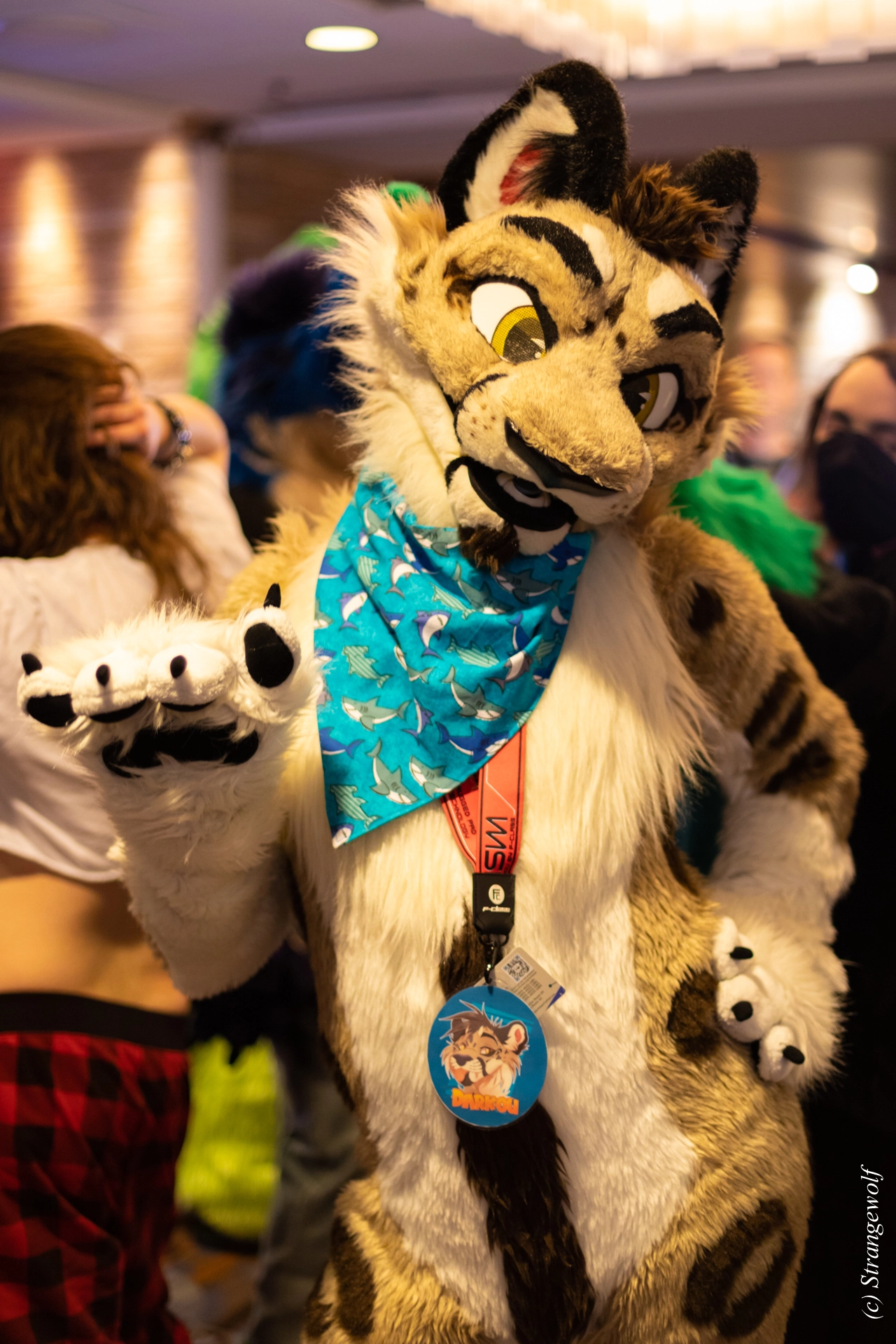 full image 1R3A4631-lr19t.jpg