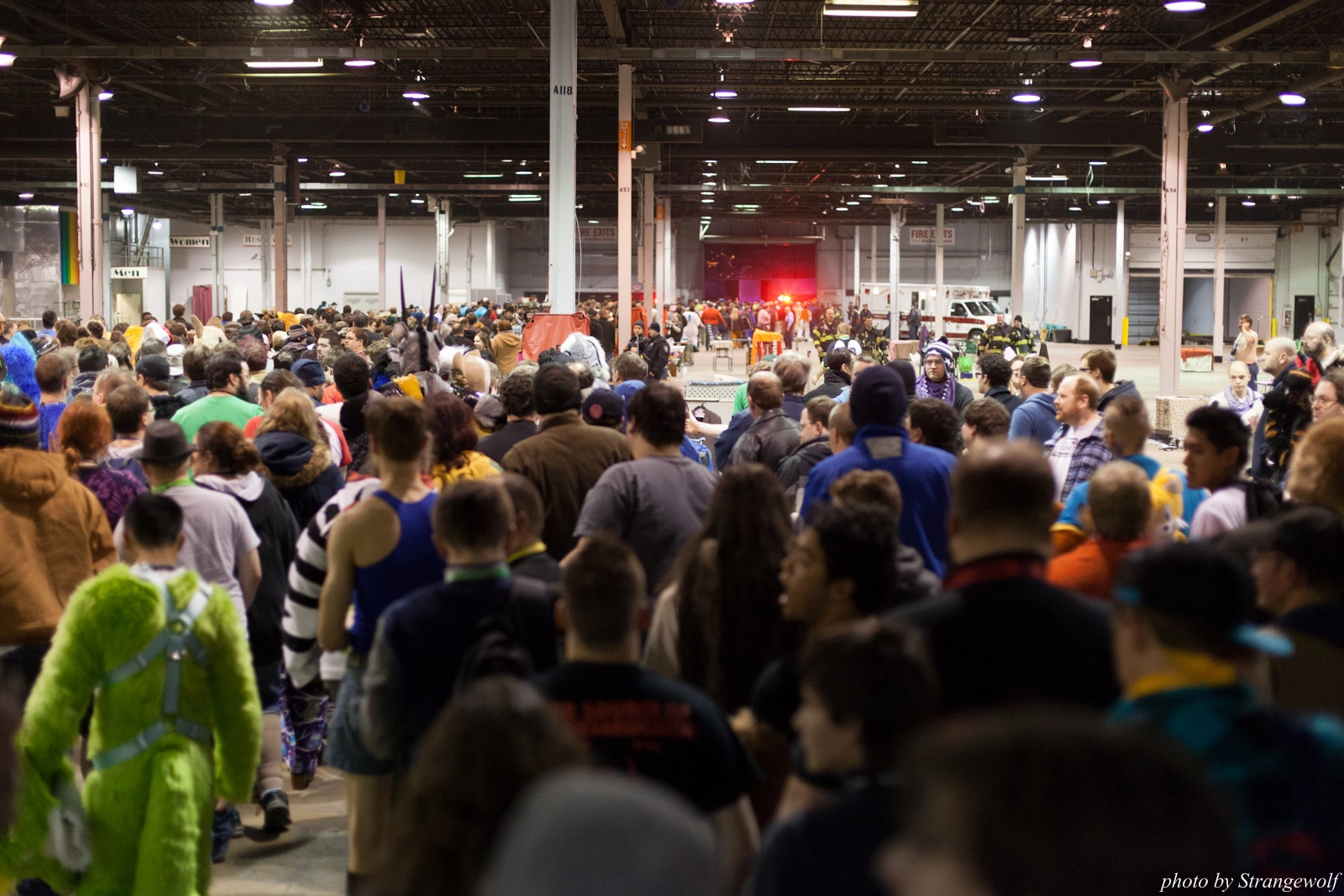 full image IMG_6497-lr16t.jpg